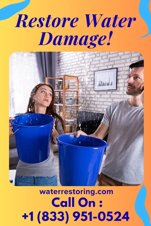 water restoration Royal Water Solutions Specialists Lebanon South
