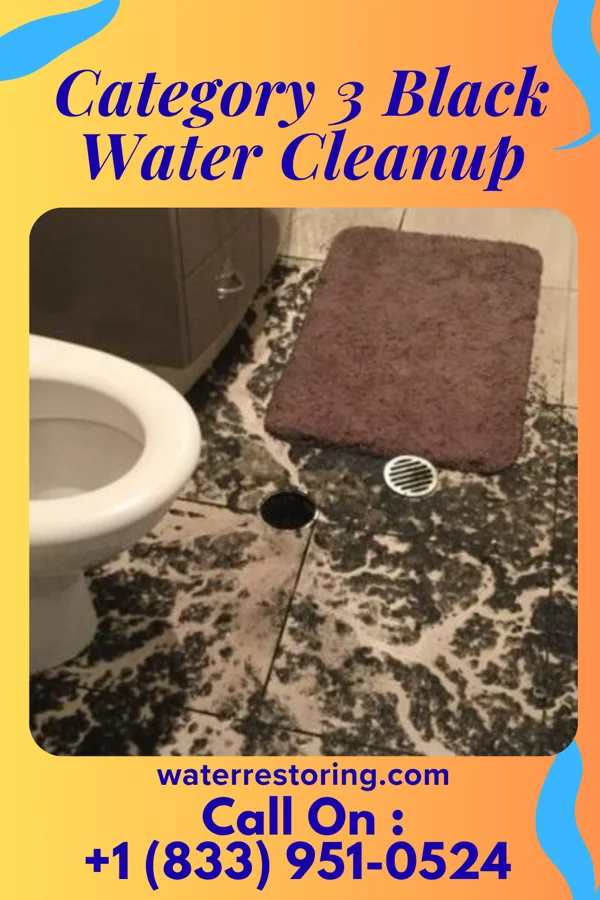 Category 3 Black Water Cleanup in Lebanon South, PA