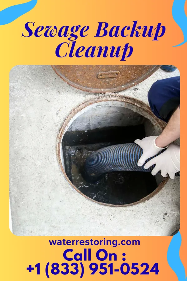 Sewage Backup Cleanup in Lebanon South, PA